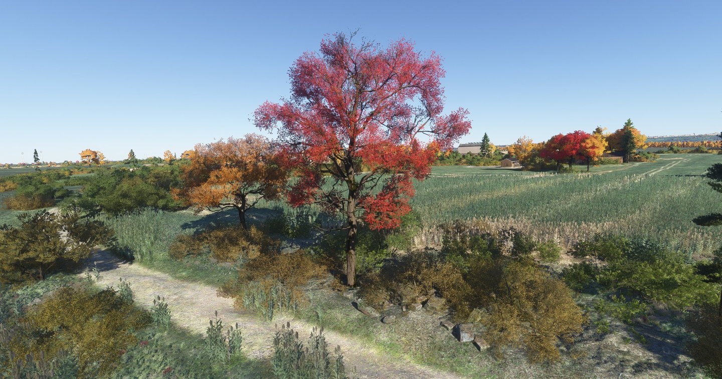 Bijan Seasons Enhanced imagem adicional